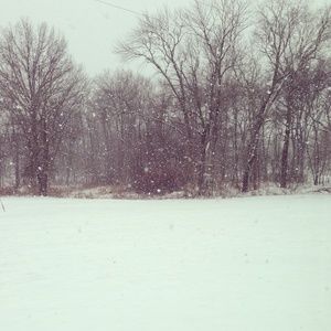 Meet your Posher, Jacque