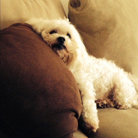 Meet your Posher, Gina