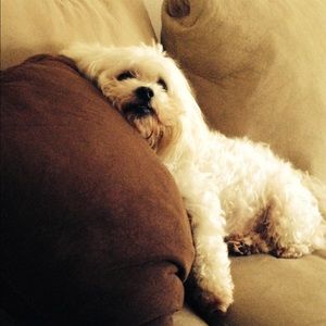 Meet your Posher, Gina