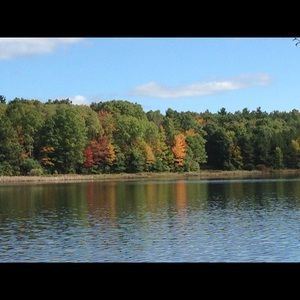 Meet your Posher, Jeannie