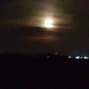 Meet your Posher, Joe