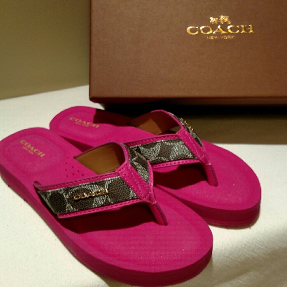 Coach Shoes - FINAL PRICE Coach BRAND NEW Judy SiG C Sandals