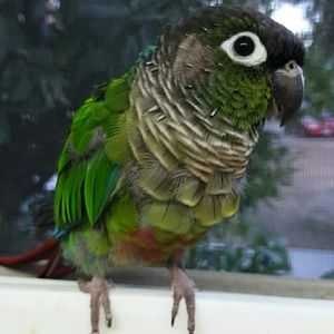 Meet your Posher, Sandy