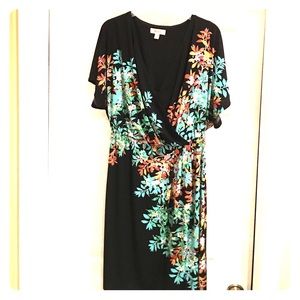 Beautiful DressBarn Dress