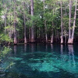 Meet your Posher, Kitrina