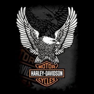 Meet your Posher, Bradley