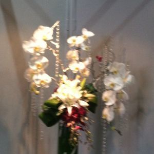 Meet your Posher, Amparo