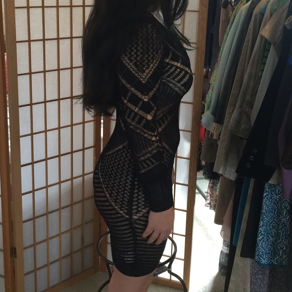 BCBGMaxAzria Embroidered Mesh Dress