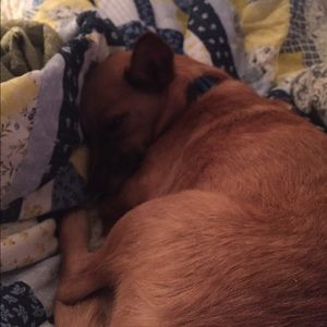 Meet your Posher, Daniel