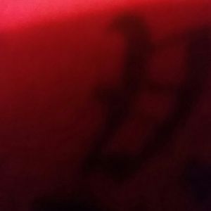 Meet your Posher, Melody