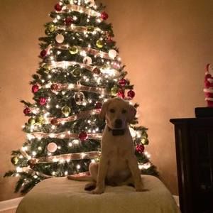 Meet your Posher, Vicki