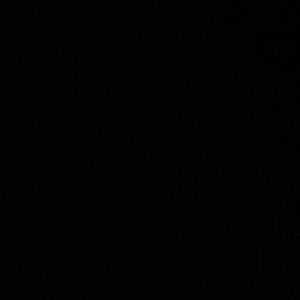 Meet your Posher, Lauryn