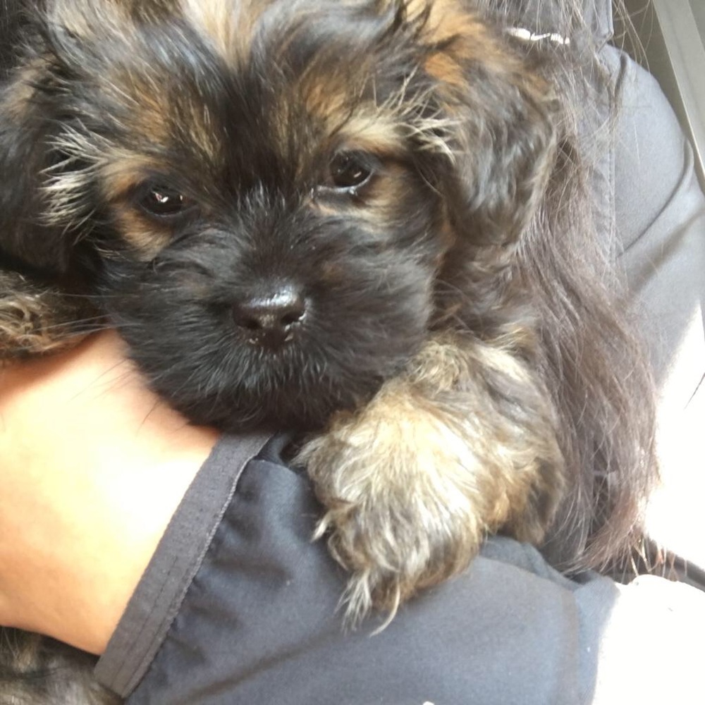 Meet your Posher, Cristian