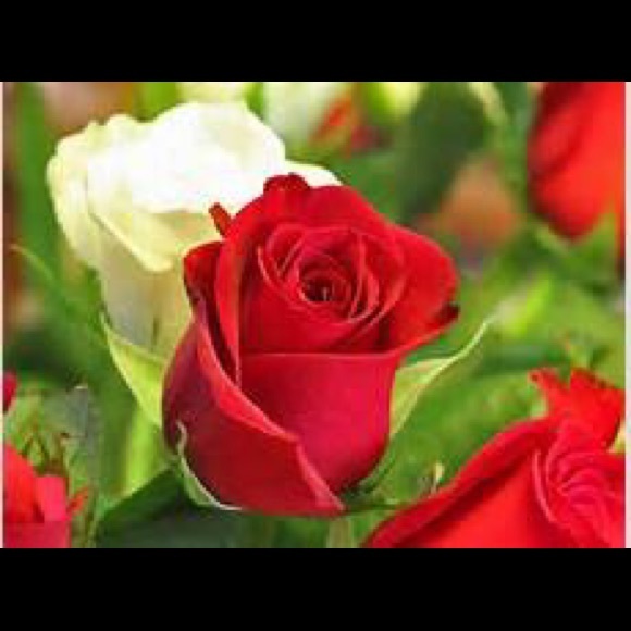 Meet your Posher, Bridget