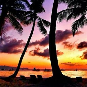 Meet your Posher, Donnyell