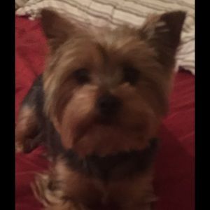 Meet your Posher, Lori