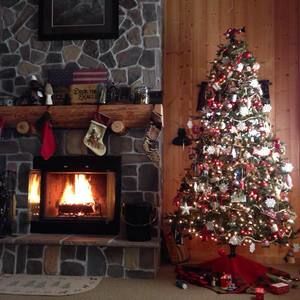 Meet your Posher, Toni