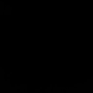 Meet your Posher, Dorian