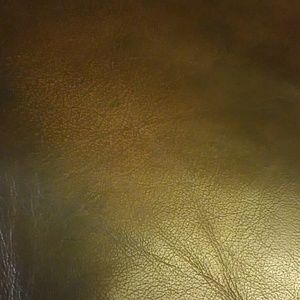 Meet your Posher, Alan