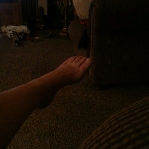 Meet your Posher, Brigitta