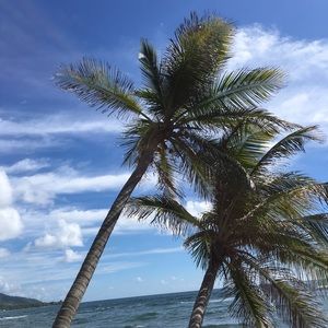 Meet your Posher, Shira