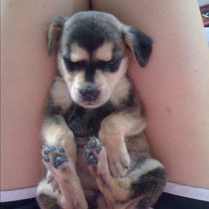 Meet your Posher, Ashley