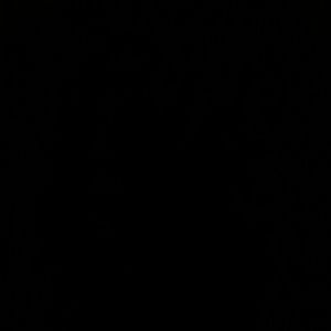 Meet your Posher, Felix