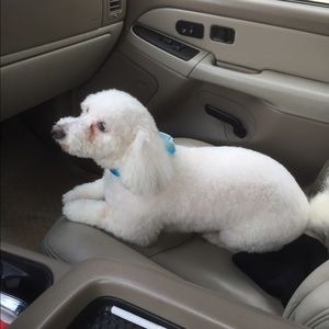 Meet your Posher, Alma