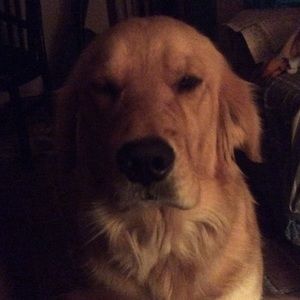 Meet your Posher, Regina