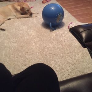 Meet your Posher, Robin