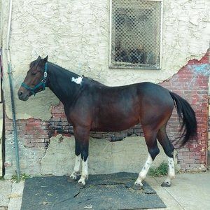 Meet your Posher, Edward