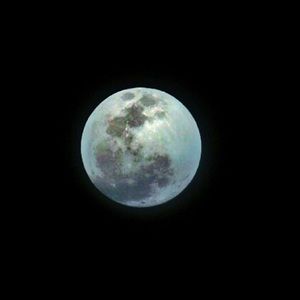 Meet your Posher, Prajaya