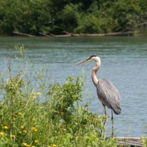 Meet your Posher, Jo