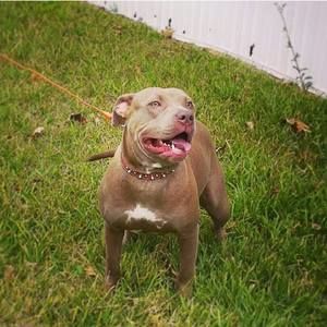 Meet your Posher, Cody