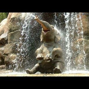 Meet your Posher, Suzanne