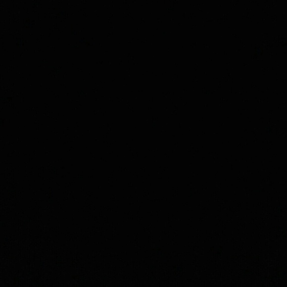 Meet your Posher, Adam - Picture 1 of 1