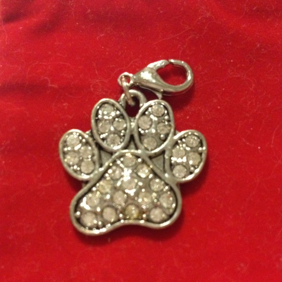 PAW with Crystals Charm