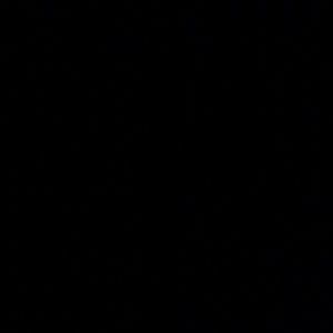 Meet your Posher, Audrianna