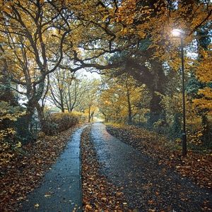 Meet your Posher, Maura