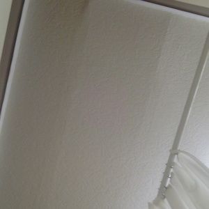 Meet your Posher, Shawn