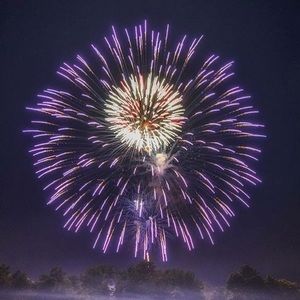 Meet your Posher, Bobbie