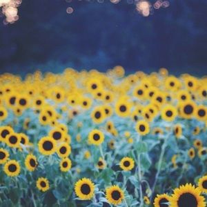 Meet your Posher, Matts