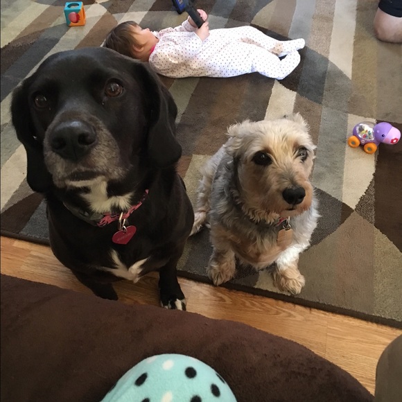 Meet your Posher, Alex - Picture 1 of 1