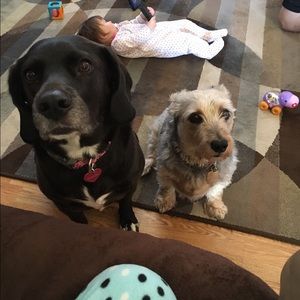 Meet your Posher, Alex