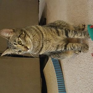 Meet your Posher, Maryana