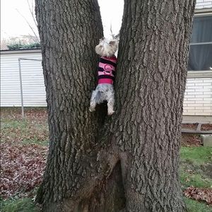 Meet your Posher, Cal