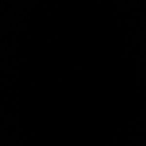 Meet your Posher, Miranda