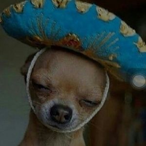 Meet your Posher, Chaenet