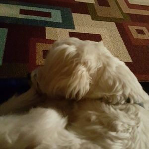 Meet your Posher, Felipe