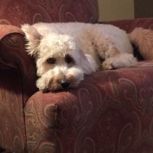 Meet your Posher, Beth